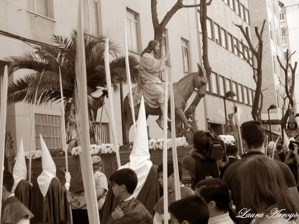 Domingo de Ramos 2015. Hermandad de Las Palmas